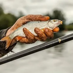 Drennan Acolyte Pro Whip - 8m 41 Drennan Acolyte Pro Whip - 8m -Fishing Rods store 43015 18