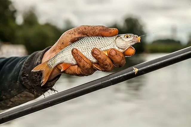 Drennan Acolyte Pro Whip - 8m 21 Drennan Acolyte Pro Whip - 8m - Image 19