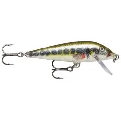 Rapala Countdown 5cm - Artistic Rainbow Trout -Fishing Rods store 44031 13