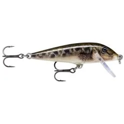Rapala Countdown 5cm - Artistic Rainbow Trout