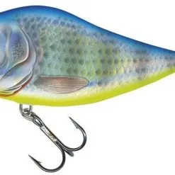 Salmo Floating Slider Jerkbait 10cm - Real Hot Perch -Fishing Rods store 44403 10