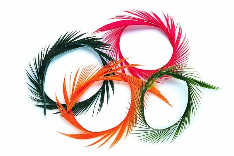 Veniard Goose Biot Strips - Black 3 Veniard Goose Biot Strips - Black