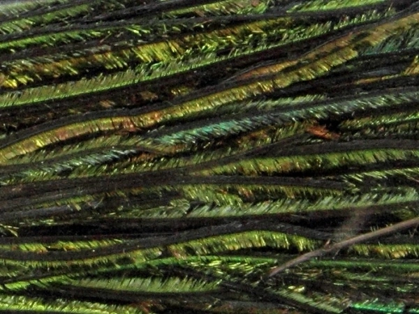 Veniard Peacock Herl - Natural 3 Veniard Peacock Herl - Natural