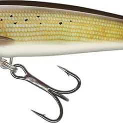 Salmo Minnow Crank Bait Floating - 5cm Dace 25 Salmo Minnow Crank Bait Floating - 5cm Dace -Fishing Rods store 46215 10
