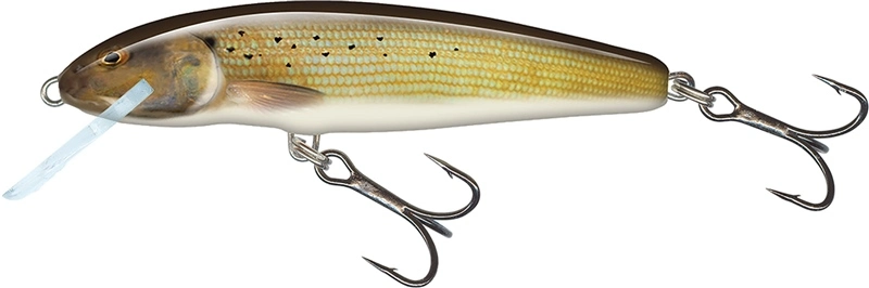 Salmo Minnow Crank Bait Floating - 5cm Dace 13 Salmo Minnow Crank Bait Floating - 5cm Dace - Image 11