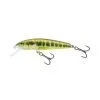 Salmo Minnow Crank Bait Floating - 5cm Dace 1 Salmo Minnow Crank Bait Floating - 5cm Dace -Fishing Rods store 46215