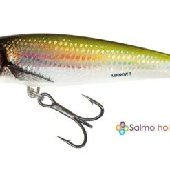 Salmo Minnow Crank Bait Floating - 5cm Dace 17 Salmo Minnow Crank Bait Floating - 5cm Dace -Fishing Rods store 46215 2