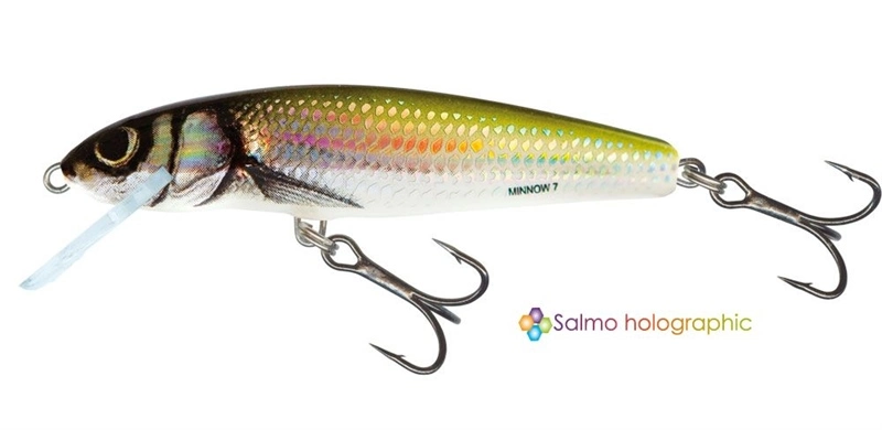 Salmo Minnow Crank Bait Floating - 5cm Dace 5 Salmo Minnow Crank Bait Floating - 5cm Dace - Image 3