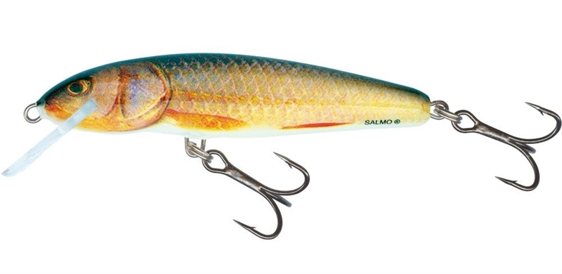 Salmo Minnow Crank Bait Floating - 5cm Dace 6 Salmo Minnow Crank Bait Floating - 5cm Dace - Image 4