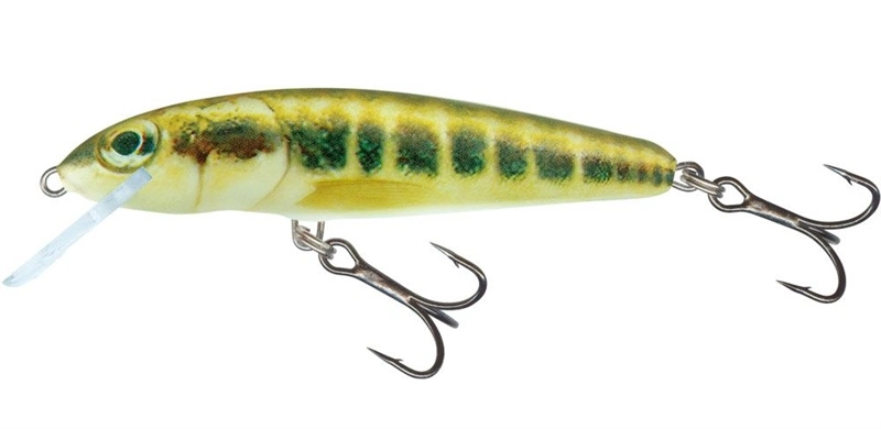 Salmo Minnow Crank Bait Floating - 5cm Dace 7 Salmo Minnow Crank Bait Floating - 5cm Dace - Image 5
