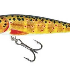 Salmo Minnow Crank Bait Floating - 5cm Dace 20 Salmo Minnow Crank Bait Floating - 5cm Dace -Fishing Rods store 46215 5