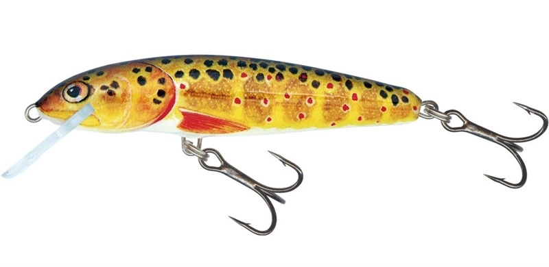Salmo Minnow Crank Bait Floating - 5cm Dace 8 Salmo Minnow Crank Bait Floating - 5cm Dace - Image 6
