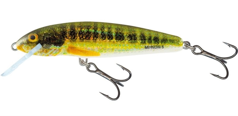Salmo Minnow Crank Bait Floating - 5cm Dace 10 Salmo Minnow Crank Bait Floating - 5cm Dace - Image 8