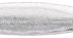 Westin Salty Jig Lure 7cm 12g - Silver Ayu