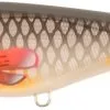 Strike Pro Baby Buster Lure - C649F - Grey Roach 2 Strike Pro Baby Buster Lure - C649F - Grey Roach -Fishing Rods store 47053