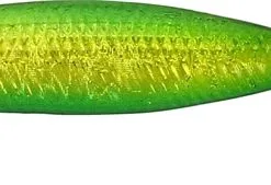 Westin Salty Jig 10g 5cm - Black Headlight -Fishing Rods store 48549 6