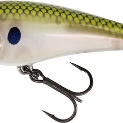 Westin BullyBite Crankbait 6cm 9g Floating - Bling Perch -Fishing Rods store 48555 4
