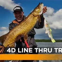 Savage Gear 4D Line Thru Trout Lure 30cm 303g - Brown Trout UV Belly -Fishing Rods store 50529 3