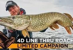 Savage Gear 4D Linethru Roach Lure 32cm 445g Sink - Bream 12 Savage Gear 4D Linethru Roach Lure 32cm 445g Sink - Bream -Fishing Rods store 50531 4