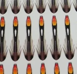 Semperfli Jungle Cock Cheeks - 10mm Extra Small Hot Orange