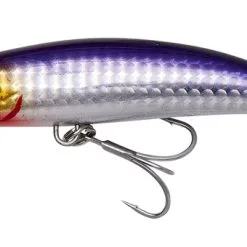 Savage Gear Gravity Runner 10cm 37g Fast Sink - Bloody Anchovy PHP -Fishing Rods store 52277 2