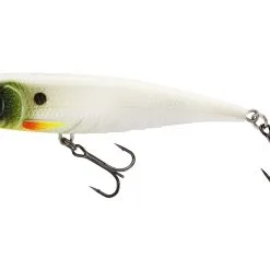 Westin Spot-On Top Walker Lure 10cm 15g Floating - Black Haze -Fishing Rods store 52289 3