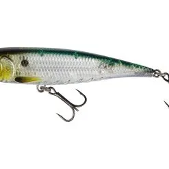 Westin Spot-On Top Walker Lure 10cm 15g Floating - Black Haze -Fishing Rods store 52289 5