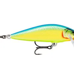 Rapala Countdown Elite Lure 5.5cm 5g - GDAY Gilded Ayu -Fishing Rods store 52366 16