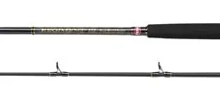 PENN REGIMENT III Boat Braid Rod - 8'2 12-20lb 2pc