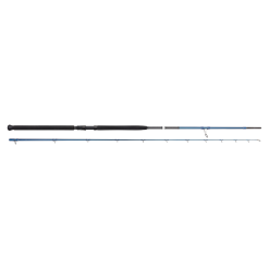 Savage Gear SGS2 Shore Jigging Rod - 9'6 20-80g 2pc