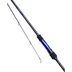 Daiwa Saltist Bass Rod 9'0 2pc 10-35g