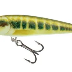 Salmo Minnow Sinking 6cm - Dace -Fishing Rods store 54582 3
