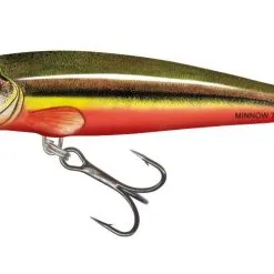 Salmo Minnow Sinking 6cm - Dace -Fishing Rods store 54582 4