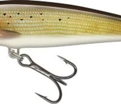 Salmo Minnow Sinking 6cm - Dace -Fishing Rods store 54582 5