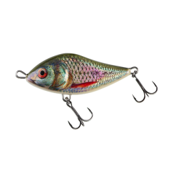 Salmo Slider PP Signature Sinking 10cm Lure - Largemouth Bass -Fishing Rods store 54713 3