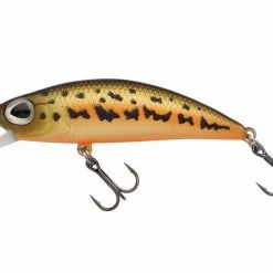 Berkley DEX Bullet Jerk TSR 50MM - Purple Haze 12 Berkley DEX Bullet Jerk TSR 50MM - Purple Haze -Fishing Rods store 55079 4