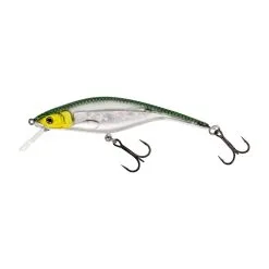 Westin P10SR Crankbait Floating Lure 10cm 15g - Fire Craw 21 Westin P10SR Crankbait Floating Lure 10cm 15g - Fire Craw -Fishing Rods store 55094 9
