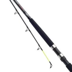Daiwa D Wave Uptide Rod 2.9m 4-10oz