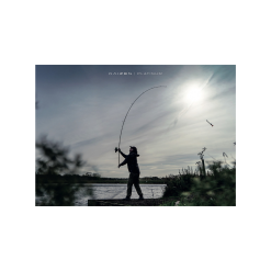 KORDA Kaizen Platinum Carp Rods - 12ft 3lb -Fishing Rods store 55443 12